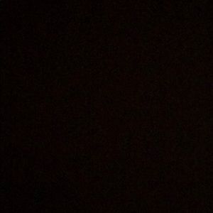 Meet your Posher, Noah